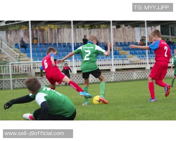 比赛足球气压对球员表现和比赛结果的影响分析与探讨